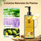 🌿 ¡Compre 2 y llévese 1 GRATIS! 💇‍♀️ Tinte capilar nutritivo a base de plantas: color y cuidado naturales ✨