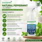 👍Hot Sale- Buy 2 Get 1 Free🗑️Natural Peppermint Oil Insect and Pest Spray🪳🦟 –Maximum Strength - Safe Scent Formula for Home & Garden