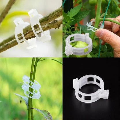 Clips de Plástico para Soporte de Plantas