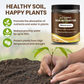🔥COMPRA 1 Y LLÉVATE 1 GRATIS🔥Promoción de temporada: Activador Soil Pro