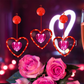 3PCS Valentine's Day Window Light Decoration with Timer