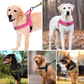 Heavy-Duty Tactical Dog Harness with Handle